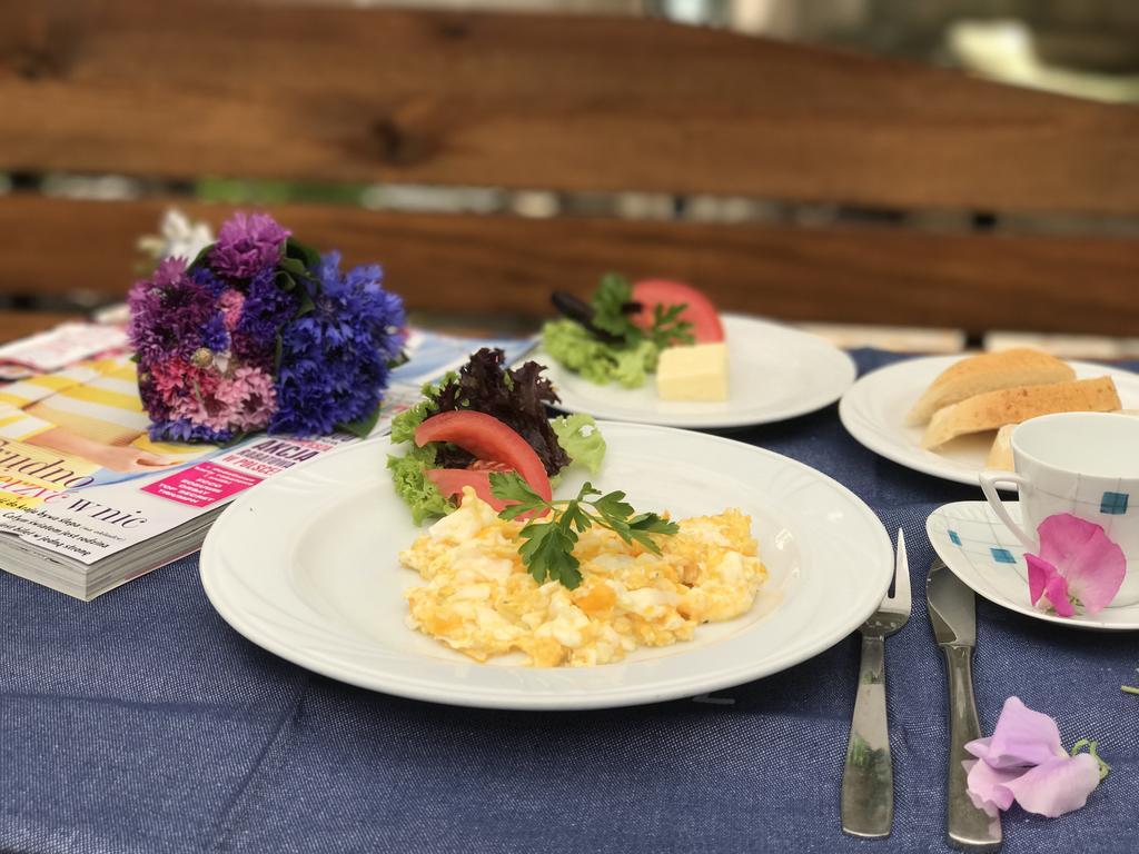 Czarna Kawka Apartamenty Krasków Εξωτερικό φωτογραφία